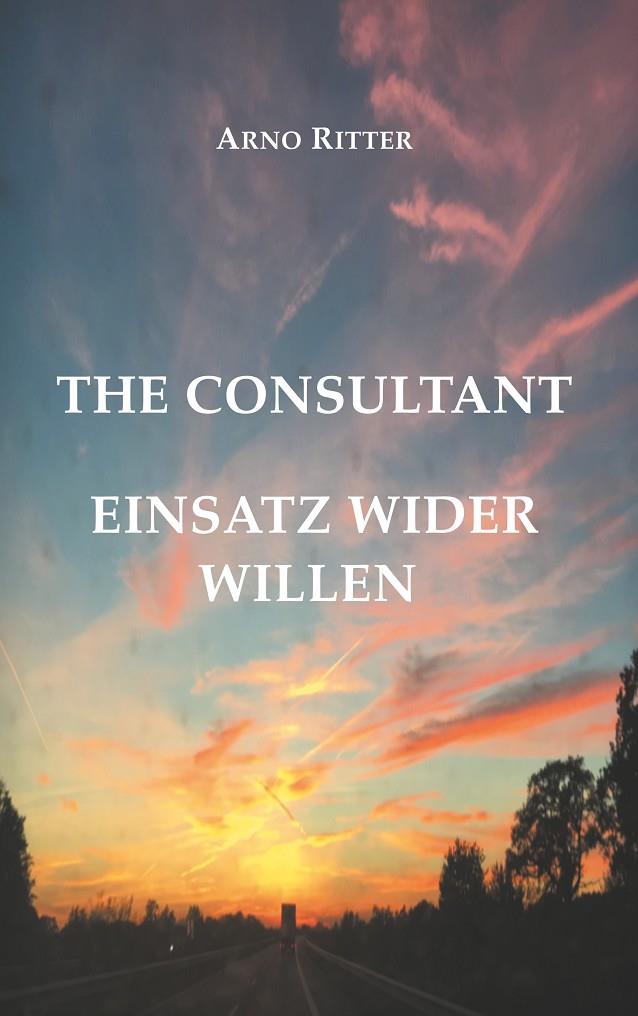 CONSULTANT, THE | 9783741294907 | RITTER, ARNO