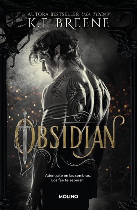 FAE DE LAS SOMBRAS 01, LOS. OBSIDIAN | 9788427257290 | BREENE, K.F.