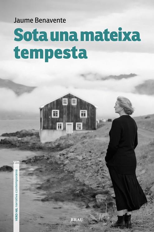 SOTA UNA MATEIXA TEMPESTA | 9791387701147 | BENAVENTE CASSANYES, JAUME
