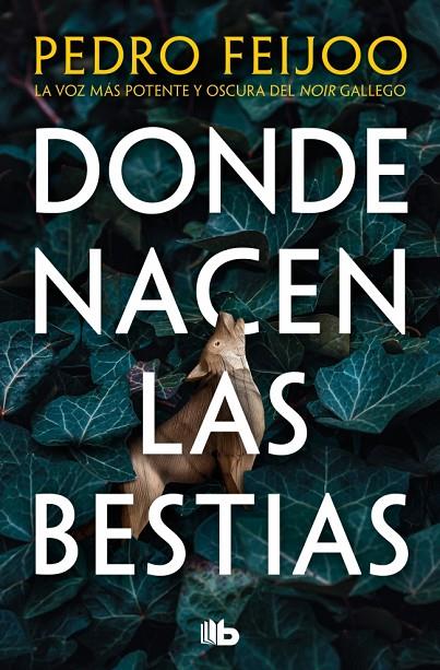 DONDE NACEN LAS BESTIAS | 9791387652357 | FEIJOO, PEDRO