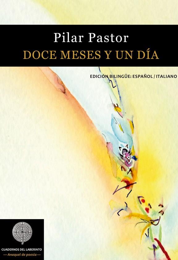 DOCE MESES Y UN DIA | 9788494553059 | PASTOR, PILAR