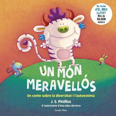MÓN MERAVELLÓS, UN | 9788413890319 | PINILLOS, J. S.