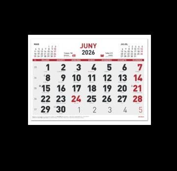 CALENDARI MENSUAL CATALÀ 43X31 2026 | 8423647169435