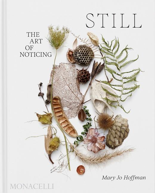 STILL | 9781580936330 | HOFFMAN, MARY JO