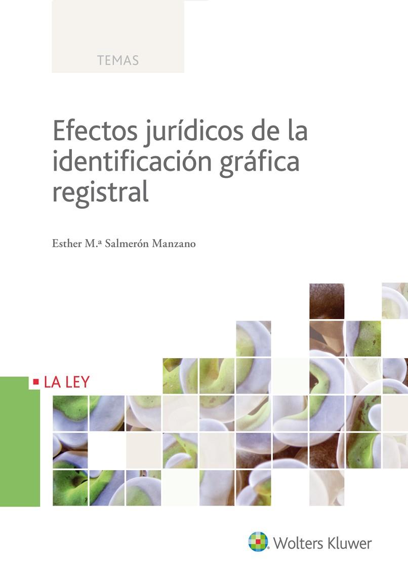 EFECTOS JURÍDICOS DE LA IDENTIFICACIÓN GRÁFICA REGISTRAL | 9788490205754 | SALMERÓN MANZANO, ESTHER Mª