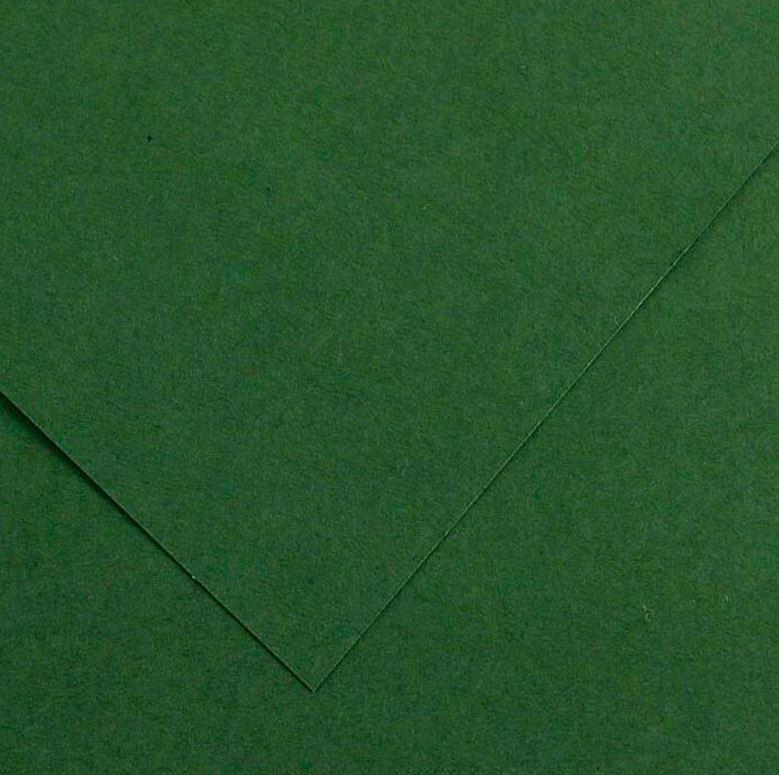 CARTOLINA GUARRO 185G 50X65 VERD AMAZONAS | 3148950402400