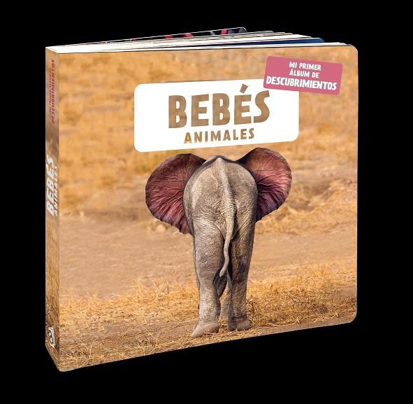 BEBES ANIMALES | 9788418762116 | NATURAGENCY