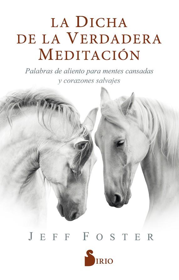 DICHA DE LA VERDADERA MEDITACIÓN, LA | 9788418000522 | FOSTER, JEFF