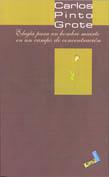 ELEGÍA PARA UN HOMBRE MUERTO EN UN CAMPO DE CONCENTRACIÓN | 9788496225343 | PINTO GROTE, CARLOS