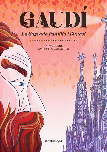 GAUDÍ. LA SAGRADA FAMÍLIA I L'ÈXTASI | 9791387969219 | RUBIO, SALVA