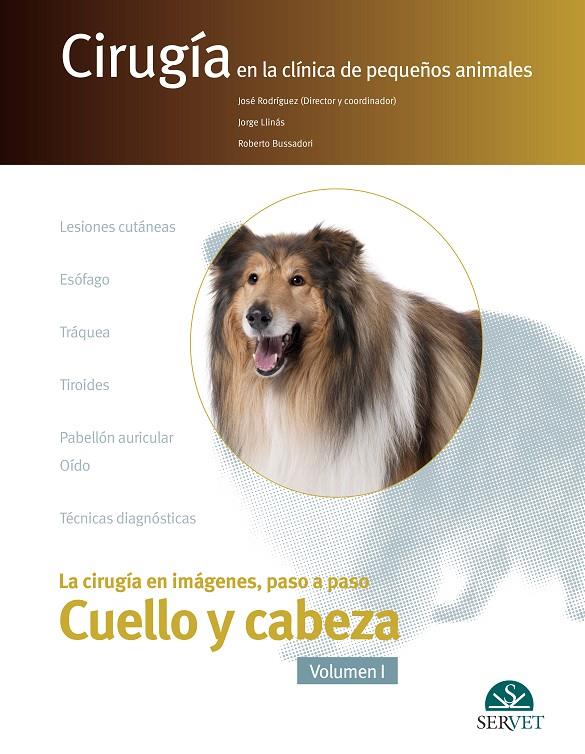 CIRUGÍA EN IMÁGENES PASO A PASO, LA.  CUELLO Y CABEZA | 9788417225933 | RODRÍGUEZ GÓMEZ, JOSÉ / LLINÁS CEBALLOS, JORGE / BUSSADORI, ROBERTO