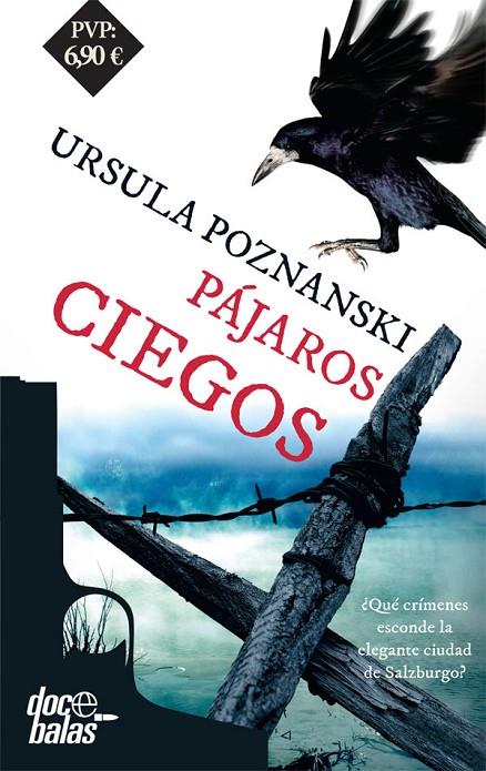 PÁJAROS CIEGOS | 9788490609897 | POZNANSKI, URSULA