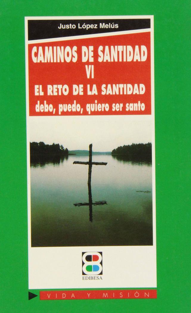 CAMINOS DE SANTIDAD VI | 9788484072218 | ATIENZA, JULIO