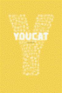 YOUCAT CATECISMO JOVEN DE LA IGLESIA CATOLICA | 9788499200996