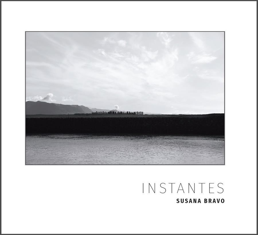 INSTANTES | 9788494992186 | BRAVO, SUSANA
