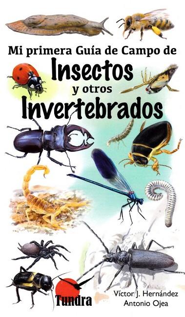 MI PRIMERA GUÍA DE CAMPO DE INSECTOS Y OTROS INVERTEBRADOS | 9788416702435 | HERNANDEZ, VICTOR J.