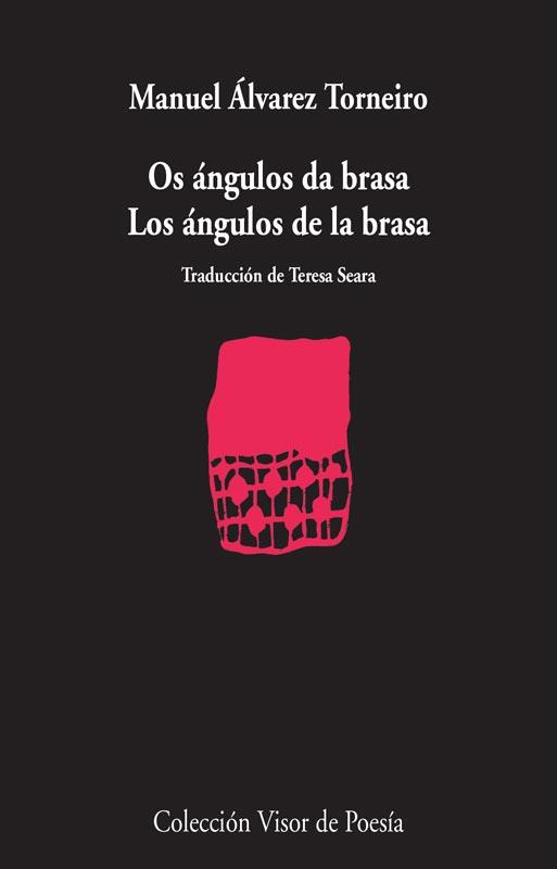 ÁNGULOS DA BRASA, LOS | 9788498958560 | TORNEIRO, MANUEL ÁLVAREZ