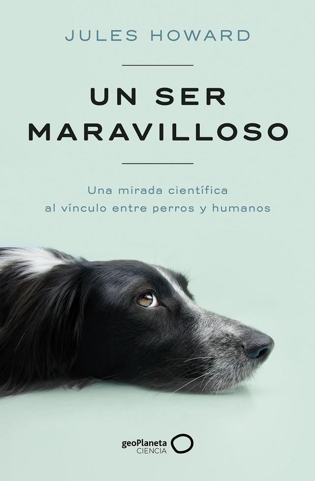 SER MARAVILLOSO, UN | 9788408269328 | HOWARD, JULES