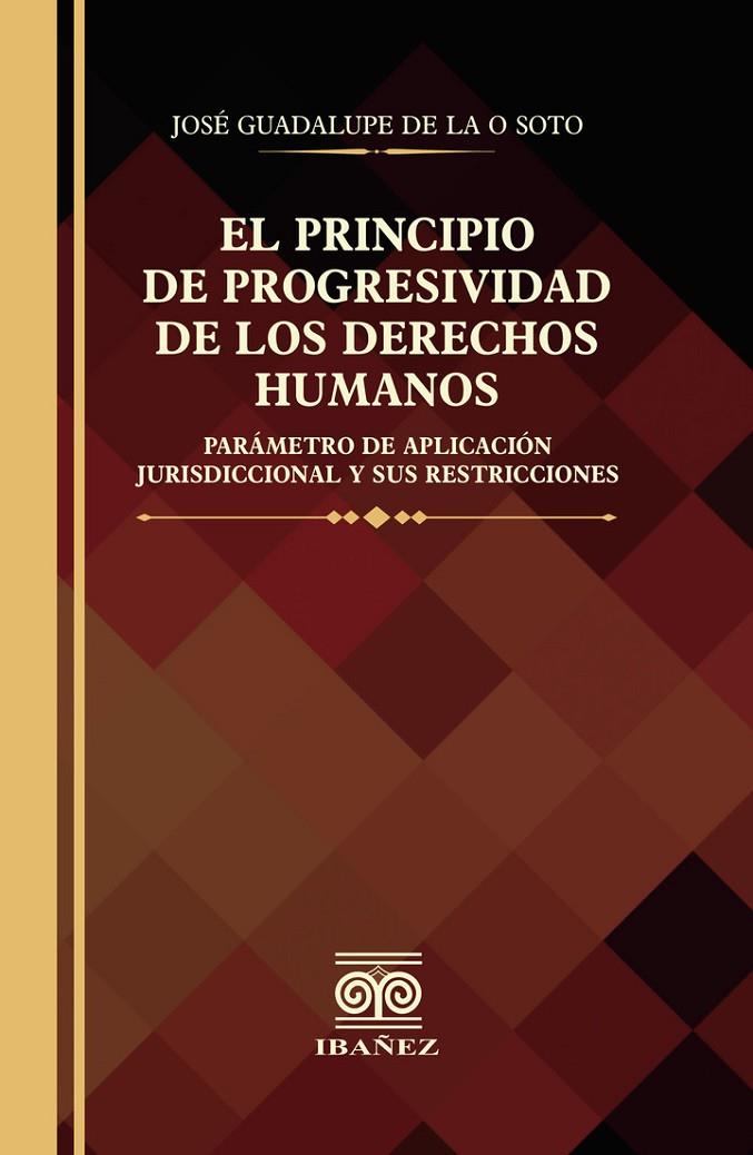 PRINCIPIO DE PROGRESIVIDAD DE LOS DERECHOS HUMANOS, EL | 9789587915013 | DE LA O SOTO, JOSE GUADALUPE