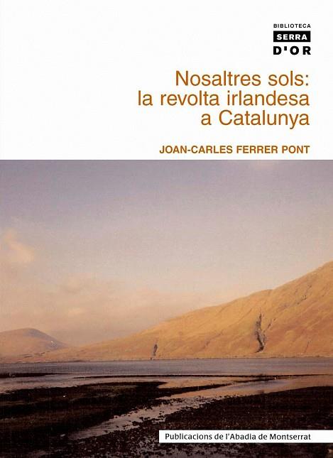 NOSALTRES SOLS: LA REVOLTA IRLANDESA A CATALUNYA | 9788484159131 | FERRER I PONT, JOAN-CARLES