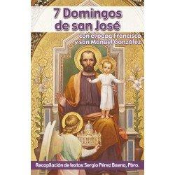 7 DOMINGOS DE SAN JOSÉ | 9788494933752 | PEREZ BAENA, SERGIO