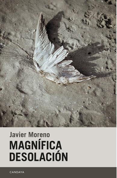 MAGNÍFICA DESOLACIÓN | 9788418504563 | MORENO, JAVIER