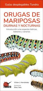 ORUGAS DE MARIPOSAS DIURNAS Y NOCTURNAS | 9788418458613 | HERNANDEZ, VICTOR J.