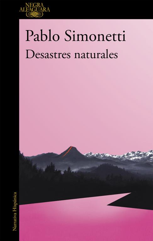 DESASTRES NATURALES | 9788420432595 | SIMONETTI, PABLO