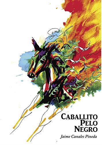 CABALLITO PELO NEGRO | 9788417049607 | CANALES PINEDA, JAIME