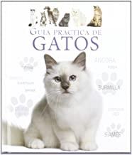 GUÍA PRÁCTICA DE GATOS | 9788415372066 | DAVIDSON, CATHERINE