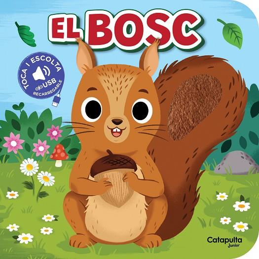 TOCA I ESCOLTA : EL BOSC | 9788419987617 | ELS EDITORS DE CATAPULTA
