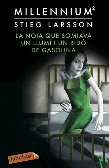 NOIA QUE SOMIAVA UN LLUMÍ I UN BIDÓ DE GASOLINA, LA | 9788416334391 | LARSSON, STIEG