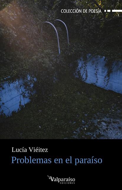 PROBLEMAS EN EL PARAÍSO | 9791387538545 | VIEITEZ, LUCIA