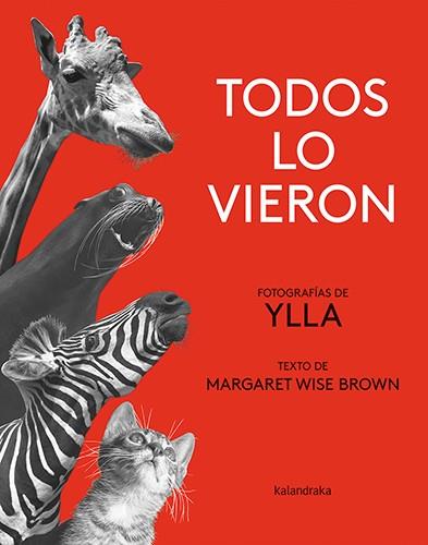 TODOS LO VIERON | 9788413431840 | WISE BROWN, MARGARET