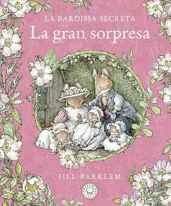 GRAN SORPRESA, LA (ED. EN CATALÀ) | 9788418733673 | BARKLEM, JILL