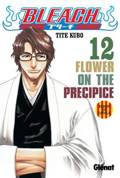 BLEACH 12 | 9788483574492 | KUBO, TITE