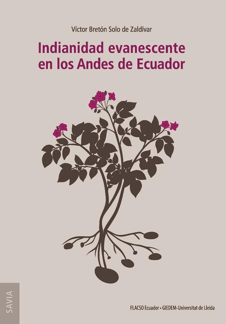 INDIANIDAD EVANESCENTE EN LOS ANDES DE ECUADOR | 9788491443100 | BRETÓN SOLO DE ZALDÍVAR, VÍCTOR