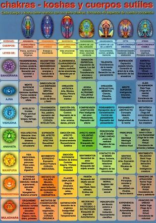 LÁMINAS DIDÁCTICAS - CHAKRAS-KOSHAS Y CUERPOS SUTILES | 8436005170004