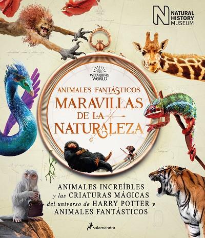 ANIMALES FANTÁSTICOS : MARAVILLAS DE LA NATURALEZA | 9788418637056 | THE NATIONAL HISTORY MUSEUM