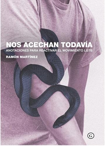 NOS ACECHAN TODAVÍA | 9788417319649 | MARTINEZ, RAMON