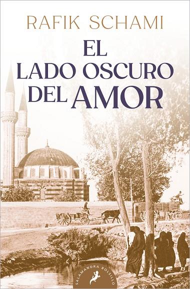 LADO OSCURO DEL AMOR, EL | 9788498385199 | SCHAMI, RAFIK