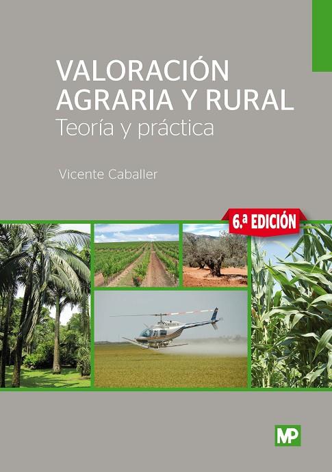 VALORACIÓN AGRARIA Y RURAL. TEORÍA Y PRÁCTICA | 9788484767237 | CABALLER, VICENTE