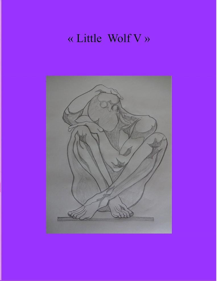 LITTLE WOLF V | 9783752880922 | THIEME, HEIKE