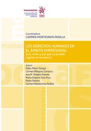 DERECHOS HUMANOS EN EL ÁMBITO EMPRESARIAL, LOS : QUÉ, CÓMO Y POR QUÉ ES POSIBLE REGULAR EN LA MATERIA | 9788413368535 | MONTESINOS PADILLA, CARMEN