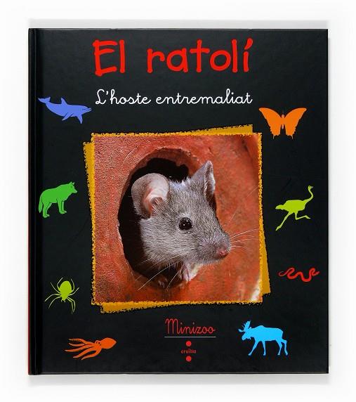 RATOLÍ, EL | 9788466120364 | FRATTINI, STÉPHANE