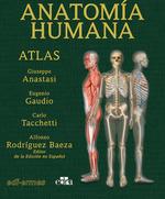 ANATOMIA HUMANA ATLAS (2 EDICIÓN) | 9788419156464 | RODRIGUEZ BAEZA, ALFONSO / TACCHETTI GIUSEPPE, CARLO