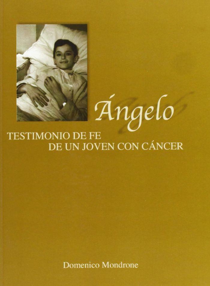 ÁNGELO | 9788484073529 | ALAIZ PRIETO, ATILANO