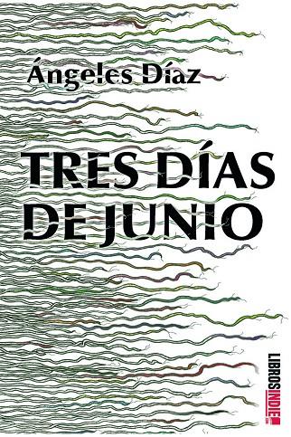 TRES DÍAS DE JUNIO | 9788418553455 | DÍAZ, ANGELES