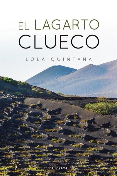 LAGARTO CLUECO, EL | 9788417772956 | QUINTANA, LOLA