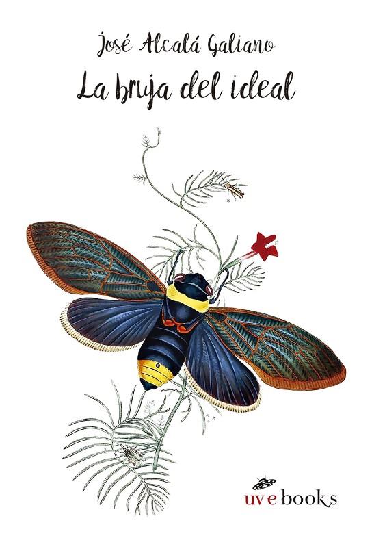 BRUJA DEL IDEAL, LA | 9788494807312 | ALCALA GALIANO, JOSE
